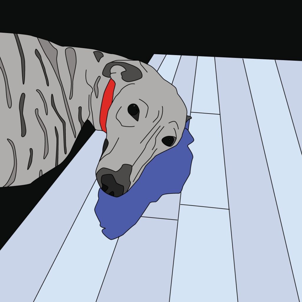 Hauer Henni: Kalandor a központban