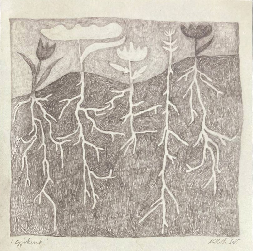 Král Lili: Gyökerek