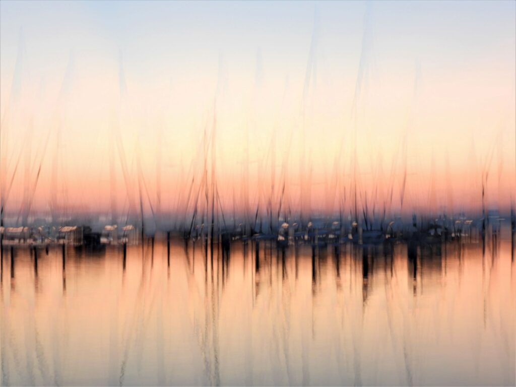 Schmidt Csilla: Reflexió