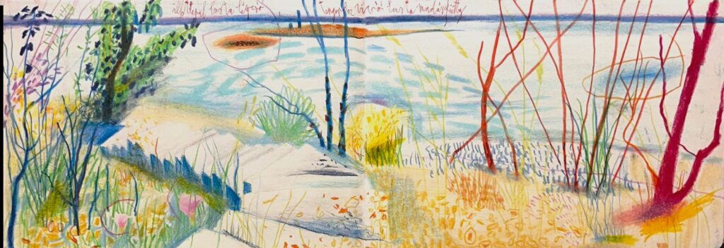 Vetlényi Zsolt: Hegyi sziget IV.